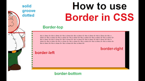 Only three are required to be defined. How To Border In Css Css Border Lett Right Top Bottom Youtube