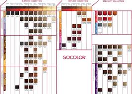 Matrix Color Chart Hair Matrix Hair Color Matrix Hair