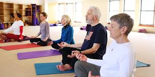 Clarity of Mind: Essentials for Brain Longevity