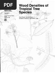 Image result for Oldfieldia macrocarpa