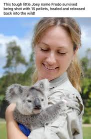 Meet Bear, a character from book two