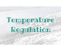 Image result for Temperature Regulation