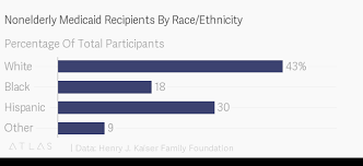 Fact Check Do Whites Make Up The Largest Share Of