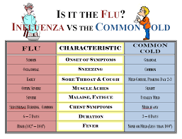 common cold or flu whats the difference