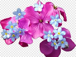 Png file with transparent background also available. Spring Pink And Purple Flowers Png Pngegg