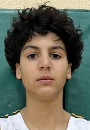 Boys Basketball: Flat Rock, Whiteford, Summerfield, Milan win