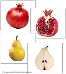 Fruit Inside And Outside Fruit Montessori Montessori Science