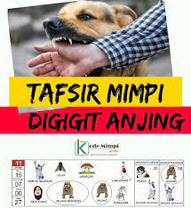 We did not find results for: Mimpi Digigit Anjing Di Buku Erek Erek Kode Alam 2d 3d 4d Kode Mimpi