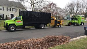 Don't miss out on any special prices! Tree Removal Service Toms River Brick Nj Treemasters Llc