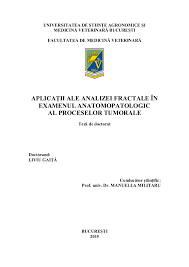 Pdf Applications Of Fractal Analysis In The Pathological Examination Of Tumours