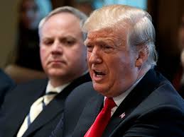 Recording reveals oil industry execs laughing at Trump access