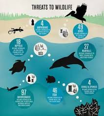 10 Biotic Factors In The Ocean Threats To Wildlife An Infographic During The 2011 International Coastal Cleanup That Shows The Threat Ocean Conservation Animal Conservation Marine Debris