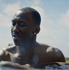 HRC prefers 'Lion' over 'Moonlight' for Best Picture?