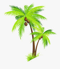 Coconut tree free vector we have about (5,925 files) free vector in ai, eps, cdr, svg vector illustration graphic art design format. Coconut Tree Vector Png Free Transparent Clipart Clipartkey