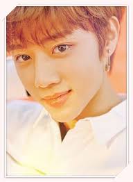 Check spelling or type a new query. The Boyz Sunwoo K Pop Boys Amino
