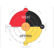 Image result for Coniogramme africana