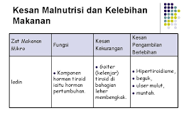 Selain empat manfaat di atas, amalan pemakanan seimbang dan sihat juga memberi kesan kepada berat badan ideal yang menjadi dambaan setiap orang. Gaya Hidup Sihat Disediakan Oleh Abdul Latif Bin