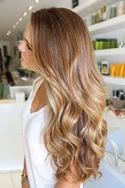 Ombre Hair Style 2013 0 2 In 2020 Honey Blonde Hair Color Honey Blonde Hair Bronde Hair