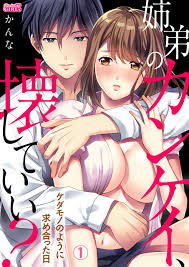 姉弟のカンケイ、壊していい？～ケダモノのように求め合った日～(1) - かんな -  TL(ティーンズラブ)マンガ・無料試し読みなら、電子書籍・コミックストア ブックライブ