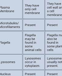 Animal cell parts and functions table. Cell Structure And Functions Of Cell Components Globestand