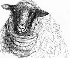 Sheep By Henry Moore One Of Many Etchings Collected In His Sheep Sketchbook Still In Print Sheep Drawing Henry Moore Drawings Sheep Art