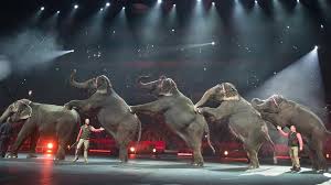 ringling bros circus to end use of elephants wsj