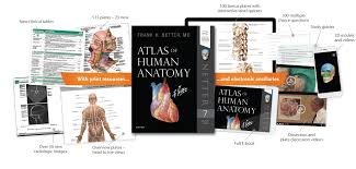 Atlas of human anatomy (aka: Introducing Netter S Atlas Of Human Anatomy 7th Edition