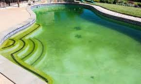 We did not find results for: Pool Service Phoenix Blue Utopia Pools Pool Pool Service Cool Pools
