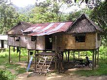 Orang Asli Wikipedia