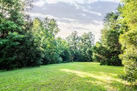 Can i build a small house in my garden. Can I Build A House In My Garden