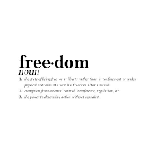 Freedom Liked On Polyvore Featuring Words Text Quotes Fillers Definitions Backgrounds Phrases Magazine Saying And Scrib Words Freedom What Is Freedom