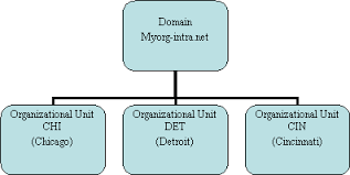 What Is Organizational Structure Of Management Types