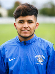 All-Mid-Valley boys soccer selections elevated teams to new heights