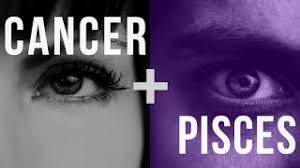Whether forming a friendship or looking for a lifetime of romance and love, cancer and pisces will feel right at home with one another. Cancer Pisces Love Compatibility Youtube