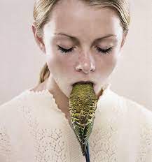 Shenae And Jade 2005 Printed 2006 By Petrina Hicks The Collection Art Gallery Nsw