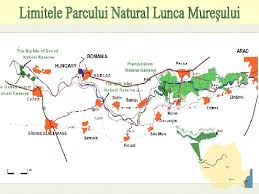 Maybe you would like to learn more about one of these? Apm Arad Ce Sunt Zonele Umede Importanta Zonelor