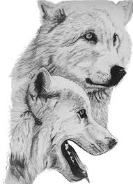 Most relevant best selling latest uploads. Arctic Wolves Drawing Drawing By Catherine Roberts