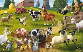 Farm animal wallpapers is a paid app for ios published in the food & drink list of apps, part of home & hobby. Farm Animals Wallpapers Top Free Farm Animals Backgrounds Wallpaperaccess
