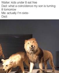 Meme S Quotes Memes Its Memes Laughing Memes Memes Quotes Funnie Memes I Meme Truthful Memes Happy Meme Wh Really Funny Memes Funny Memes Animal Memes