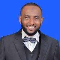 Mahmoud H A M M A D B U S H A R A Elsafi Resume/CV