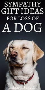 Since not all of us have the resource or wherewithal to deal with the loss of our friends, i have compiled a list of helpful resources that may help you handle the grief in a better way. 20 Sympathy Gift Ideas For Loss Of Dog Pet Quotes Dog Dog Sympathy Gifts Dog Loss Gifts