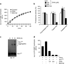 Kpk dari 4, 6 dan 8 adalah 2 3 x 3 = 24 hari tanggal 28 januari + 24 hari = tanggal 21. Docosahexaenoic Acid Mediated Protein Aggregates May Reduce Proteasome Activity And Delay Myotube Degradation During Muscle Atrophy In Vitro Experimental Molecular Medicine