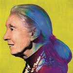 Saved by a Bucket, but Can the Owens Pupfish Survive?