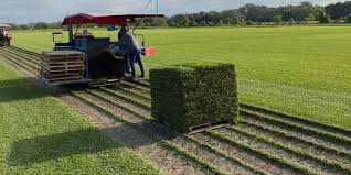 But not sure what hd carries. How Much Does A Pallet Of Sod Cost Houston Sugar Land Pearland