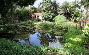 The best time to water your garden in summer is from 6 am to 10 am—before the heat of the day sets in, giving your plants plenty of time to drink up and any moisture on the leaves to dry off before nightfall. Water Gardens Everything You Need To Know Lawnstarter