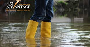 Our flood insurance and protection is built on insights from consumers and agents alike. Flood Insurance Markets Iiat