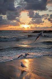 470 Sunset Beach Ideas Beautiful Nature Scenery Sunset Beach sunset wallpaper ocean wallpaper nature wallpaper sunset beach sunrise and sunset wallpaper backgrounds nature aesthetic beach aesthetic purple aesthetic. 470 sunset beach ideas beautiful