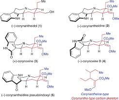 Image result for Corynanthe