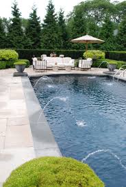 Contrasted Dark Coping With Light Concrete Flooring Pool Color Pool Houses Pool Patio Swimming Pool Designs