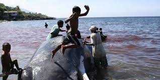 Mencegah, menanggulangi, dan memulihkan kerusakan lahan pertanian. Cerita Dari Lamalera Halaman All Kompas Com